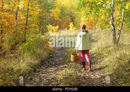 Donna con cesto in vimini per funghi e frutti di bosco a camminare su una strada sterrata nel bosco in autunno giornata di sole. Paesaggio autunnale Foto Stock