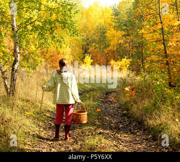 Donna con cesto in vimini per funghi e frutti di bosco a camminare su una strada sterrata nel bosco in autunno giornata di sole. Paesaggio autunnale Foto Stock