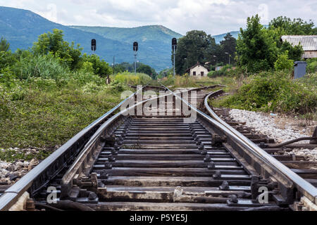 Il vecchio treno rotaie nella natura e cresciuto nell'erba. Il binario ferroviario e intersezione. Close up, il fuoco selettivo e del paesaggio Foto Stock