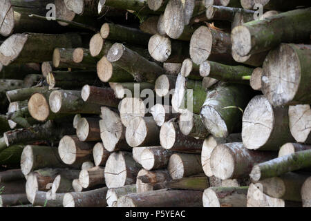 Pila di legno tritato Foto Stock