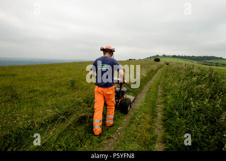 Sul Springhead Estate in West Sussex vicino a Amberley, un operatore con una taglierina mantenendo il sentiero del South Downs modo chiaro Foto Stock