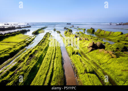 Seascape con alga verde muschio sulle rocce in Barrika Foto Stock