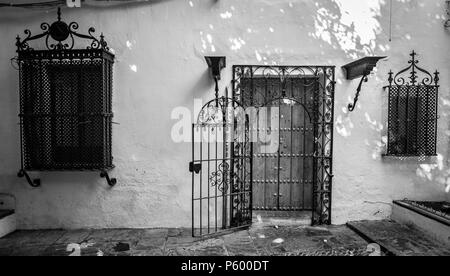Antica porta in legno con barre di ferro in Santa Cruz quartiere antico di Siviglia, Spagna. Immagine in bianco e nero Foto Stock