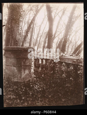 Saint-Cloud Park, Parigi; Eugène Atget (francese, 1857 - 1927); Saint-Cloud, Francia; 1924; albume silver stampa; 22,3 × 17,8 cm (8 3/4 x 7 in.); 2002.37.11 534 Eugène Atget, Saint-Cloud Park, Parigi, 1924 Foto Stock