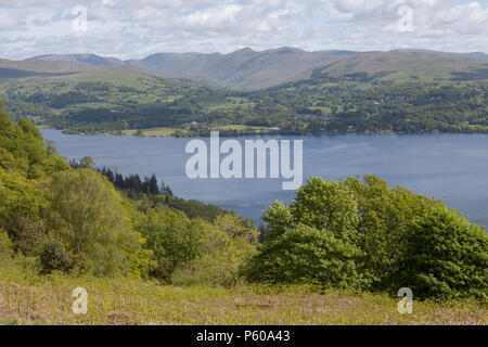 Windermere è il lago naturale più grande del Lake District inglese Foto Stock