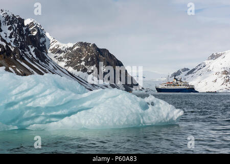 Norvegia Isole Svalbard, Spitsbergen, Hornsund. Quark Expedition nave oceano, avventuriero, in pieno di ghiaccio bay. Foto Stock