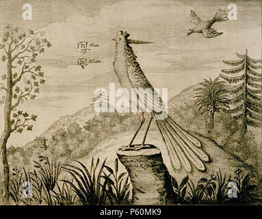 N/A. Inglese: Immagine di un Fenghuang (Cinese Phoenix) tracciata nel 1699s. 1 gennaio 1664. J.J. van Waesberge 552 Fenghuang-disegno-1664 Foto Stock