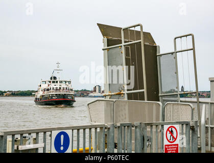 Mersey ferry, Royal iris, avvicinando dockside, Pier Head, Liverpool, England, Regno Unito Foto Stock