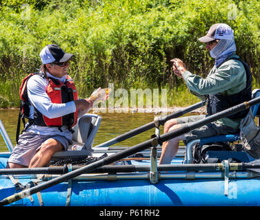 Fly fisherman holding trota in barca gonfiabile; Arkansas River; che corre corre attraverso il quartiere del centro storico del piccolo paese di montagna di S Foto Stock