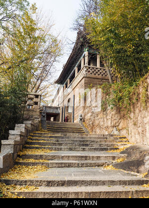 Qingdao, Cina - Dicembre 2017: scale che conducono al tempio Huayan in Yanku scenic area presso il Monte Laoshan Foto Stock