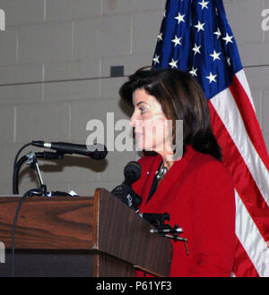 Lt. Gov. Kathleen Hochol parla durante il cambiamento di cerimonie di comando in corrispondenza dello Stato di New York di divisione militare e navale sede di affari in Latham, NY Giovedì 7 Aprile. (U.S.esercito nazionale Guard foto di Master Sgt. Raymond Drumsta/rilasciato) Foto Stock