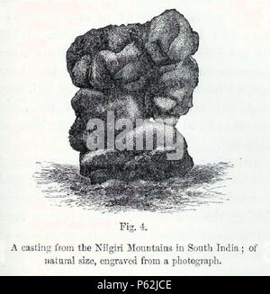 N/A. Inglese: un getto dal Nilgiri Mountain in India del Sud; incise da una fotografia Deutsch: Ausscheidung aus den Nilgiribergen im Süden Indiens; gezeichnet nach einer fotografie . 1881. Charles Darwin (1809-1882) nomi alternativi Charles Robert Darwin Descrizione naturalista britannico e autore Data di nascita e morte 12 Febbraio 1809 19 aprile 1882 Luogo di nascita e di morte La Mount, Shrewsbury Down House competente controllo : Q1035 VIAF:27063124 ISNI:0000 0001 2125 1077 ULAN:500228559 LCCN:N78095637 NARA:10580367 WorldCat 413 Darwin. Lombrico, Fig. 4B Foto Stock