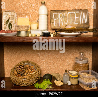 Concetto di dieta, naturali diversi tipi ricca di alimenti proteici, strutto, polpetta, manzo, pesce, latticini, dadi, lattuga, soia, avocado olio di noce di cocco bean Foto Stock