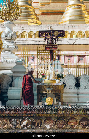 Yangon, Myanmar - Feb 19 2014: cerimonia di ordinazione a Shwedagon pagoda Foto Stock