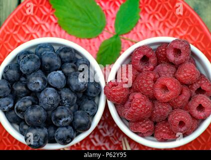Cibo sano,l'agricoltura,raccolto e concetto di frutta: ripe mirtilli e lamponi in due ciotole su una rossa piastra ceramica. Foto Stock