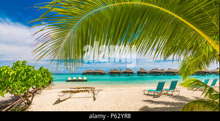 Palme sulla spiaggia tropicale del resort. Foto Stock