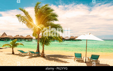 Spiaggia tropicale con sedie da spiaggia, ombrellone e palme. Isola di Moorea, Polinesia francese. Foto Stock