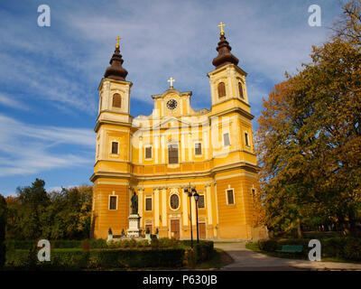 La Cattedrale di Roman-Catholic l Assunzione della Beata Vergine Maria a Oradea, Bihor County, Romania Foto Stock