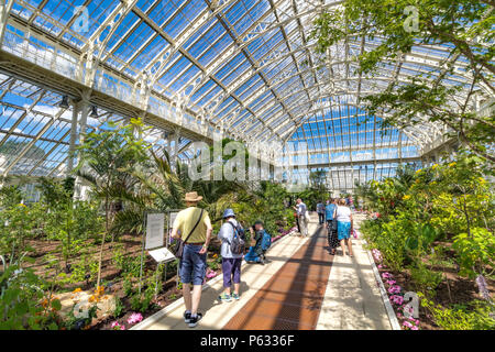 Persone che visitano la Casa del Tempperate recentemente restaurata a Kew Gardens, Londra, Regno Unito Foto Stock