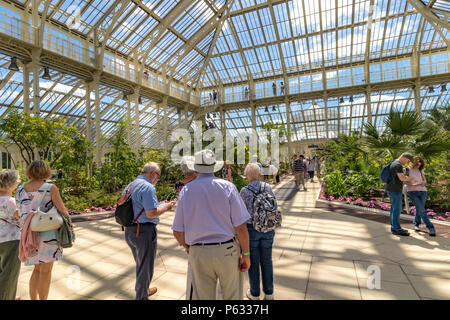 Persone che visitano la Casa del Tempperate recentemente restaurata a Kew Gardens, Londra, Regno Unito Foto Stock