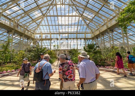 Persone che visitano la Casa del Tempperate recentemente restaurata a Kew Gardens, Londra, Regno Unito Foto Stock