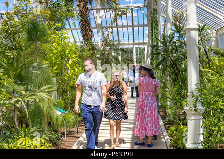 Persone che visitano la Casa del Tempperate recentemente restaurata a Kew Gardens, Londra, Regno Unito Foto Stock