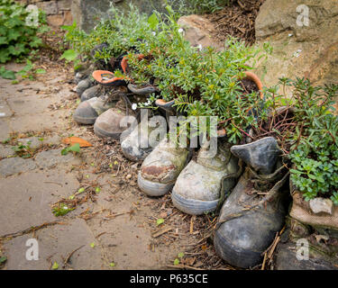 Vecchie scarpe da trekking in piedi sul pavimento utilizzato come vasi di fiori Foto Stock