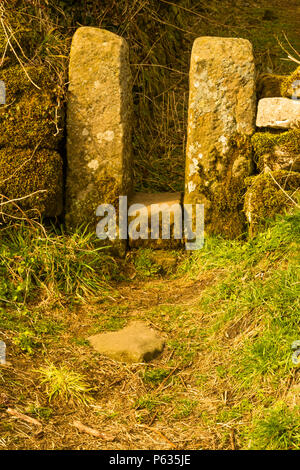 Tipo di stile e una spruzzata di stile in un muro di pietra, Derbyshire, England, Regno Unito Foto Stock