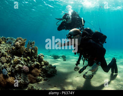 Il cap. Kyle Mosè, commodore di comandante, Task Force (CTF) 56, a sinistra, e l'eliminazione degli ordigni esplosivi (EOD) Tecnico Master Chief Chris Borkenheim, il comando master chief di CTF 56, condotta pier ispezioni durante il mio internazionale contromisure Esercizio (IMCMEX) 16. IMCMEX 16 è un esercizio multilaterale utilizzando tutti gli aspetti della difesa guerra marittima compreso il mio contromisure, le operazioni di sicurezza marittima e di infrastrutture marittime protezione per dimostrare il global risolvere per mantenere il commercio in tutti gli Stati Uniti Quinta Flotta area di operazioni. (U.S. Navy combattere la fotocamera in massa C Foto Stock