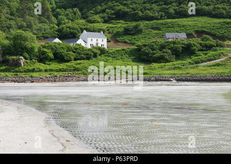 Bella sabbia bianca spiaggia di Calgary sull'Isle of Mull in Scozia, Ebridi Interne Foto Stock