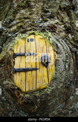 Giallo porta Fata in un albero nel bosco a Wycoller Country Park, Colne, Pendle, Lancashire, Inghilterra, Regno Unito Foto Stock