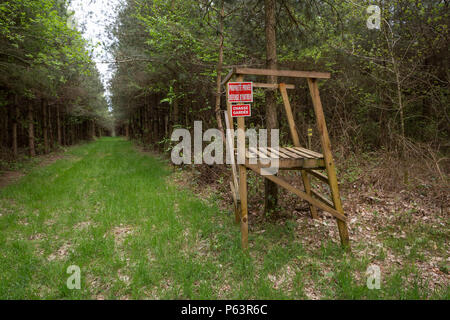 La caccia in legno seduta alta sul bordo di una foresta in Normandia, Francia. Foto Stock
