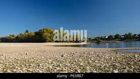 Riverbed a secco su di una bella giornata autunnale con alberi visibili. Il fiume Reno in Germania. Foto Stock