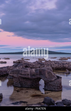 Rangitoto isola di Vulcano Auckland Nuova Zelanda Foto Stock