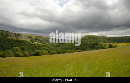 Valle del collettore, visto da vicino Grindon, Peak District. Foto Stock