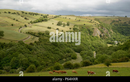 Valle del collettore, visto da vicino Grindon, Peak District. Foto Stock