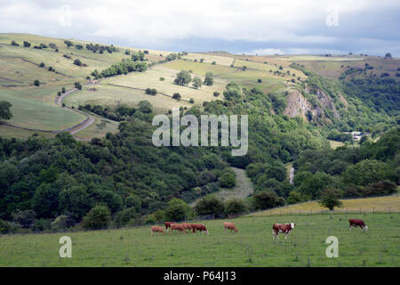 Valle del collettore, visto da vicino Grindon, Peak District. Foto Stock