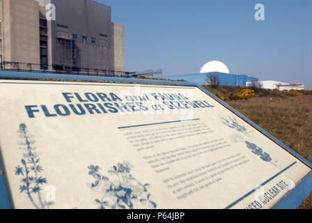 Riserva naturale che circonda la centrale nucleare di Sizewell B, vicino a Leiston, Suffolk, Regno Unito Foto Stock