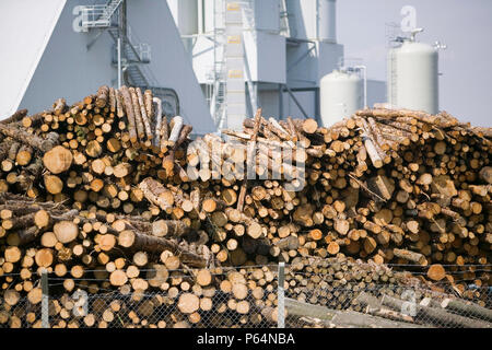 E.ON biocarburante power station a Lockerbie in Scozia con le riserve di legname.La stazione di alimentazione viene alimentato 100% da legno proveniente da foreste locali e gen. Foto Stock