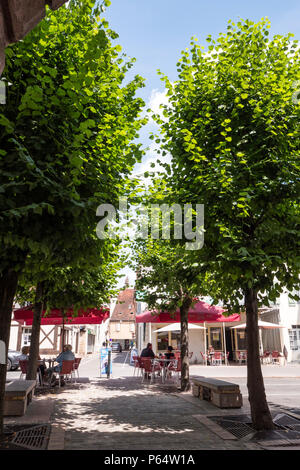 Louhans Saône-et-Loire Bourgogne-Franche-Comte Francia Foto Stock