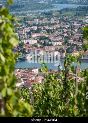 Attraverso i vigneti a Tain l'hermitage Drôme Auvergne-Rhône-Alpes Francia Foto Stock