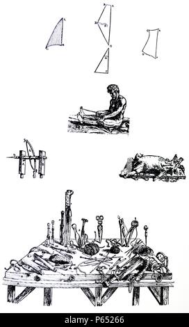 Le piastre del secondo libro del De humani corporis fabrica di Andreas Vesalius, (1514-1564) piastra 42 - Nella presente figura abbiamo delineato approssimativamente i fianchi e la natura e la disposizione delle fibre dei muscoli che abbiamo qui descrivere. Foto Stock