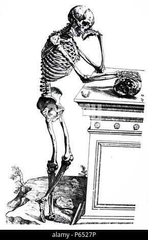 Le piastre da la personificazione del De humani corporis fabrica di Andreas Vesalius, (1514-1564) piastra 79 - una definizione completa di tutte le ossa del corpo umano, così come le posizioni dei loro articolazioni, liberato da tutte le parti che hanno il supporto e tutto ciò che è ad essi collegate o si estende da loro. Foto Stock