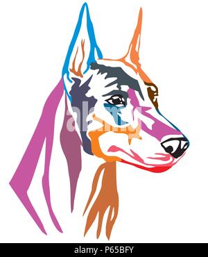 Decorativo colorato ritratto di cane Dobermann, illustrazione vettoriale in colori diversi isolati su sfondo bianco. Immagine per design e tatuaggio. Illustrazione Vettoriale