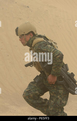 Un membro del team di Sprint in Perù durante un esercizio di tiro come parte del Comando Fuerzas 2016, 3 maggio 2016 in Ancon, Perù. Fuerzas Comando è un U.S. Comando Sud sponsorizzato esercizio al quale 20 paesi dal Nord, Centro e Sud America e Caraibi competere in amichevole per le operazioni speciali giochi. (U.S. Esercito Foto di Sgt. Eric Roberts/rilasciato) Foto Stock