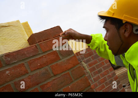 Muratore di controllare il livello con la linea di stringa su una casa cantiere, Inghilterra, Regno Unito. Foto Stock