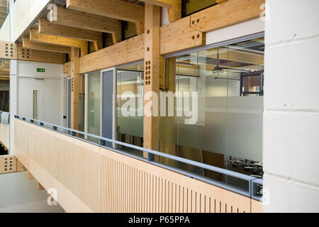 Mossbourne Academy, Hackney, Londra, Regno Unito. Progettato da Richard Rogers. Foto Stock