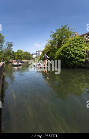 Città di Canterbury, Inghilterra. Pittoresca vista estiva di turisti su un punting tour del grande Stour, a Canterbury Abate del Mulino del giardino. Foto Stock