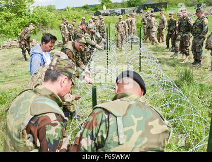 I soldati della Moldavia dall'esercito nazionale Forze terrestri e soldati dall'ingegnere del reggimento Squadron, 2° reggimento di cavalleria, lavorano insieme per posizionare il filo di concertina durante l'ingegnere porzione di formazione di esercizio pioniere Dragoon al Codru Area Formazione, Moldavia, 7 maggio 2016. (Foto di U.S. Il personale dell'esercito Sgt. Steven M. Colvin) Foto Stock