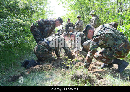 Gli ingegneri di combattimento con l'Ingegnere del reggimento Squadron, 2° reggimento di cavalleria e soldati Moldava dal nazionale Forze terrestri, attentamente sweep e sonda per miniere di formazione durante la mia porzione di rivelazione dell esercizio pioniere Dragoon al Codru Area Formazione, Moldavia, Maggio10, 2016. (U.S. Foto dell'esercito da Staff Sgt. Steven M. Colvin) Foto Stock